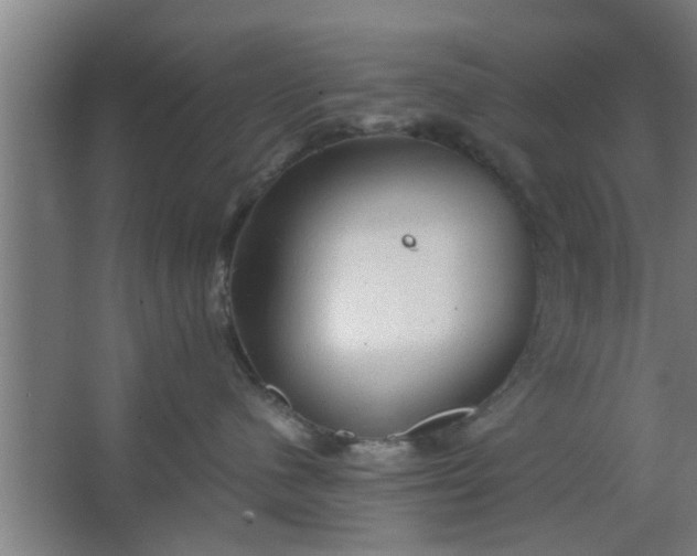 X0000063460480200602031838