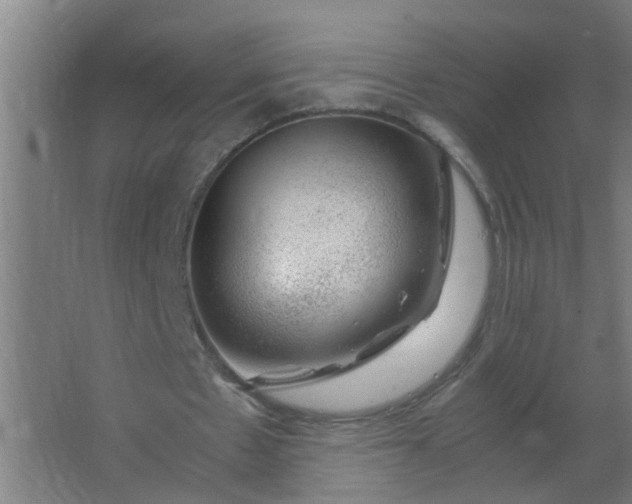 X0000063460481200602031838