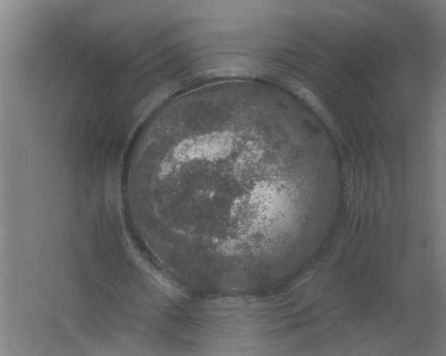 X0000063460482200602031838