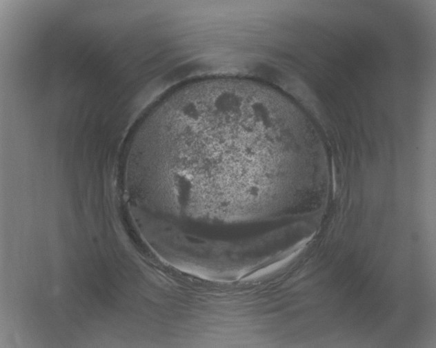 X0000063460483200602031838