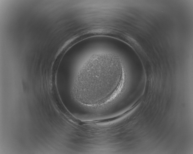 X0000063460484200602031838