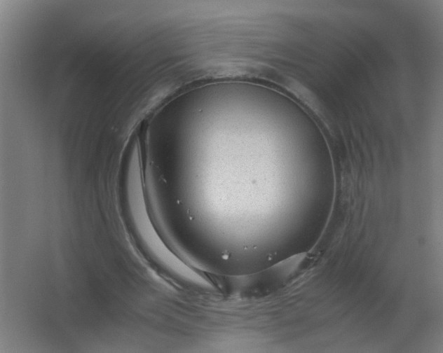 X0000063460485200602031838