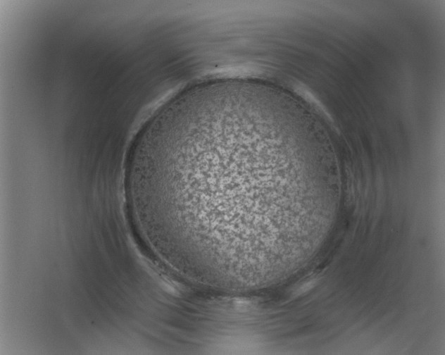 X0000063460486200602031838