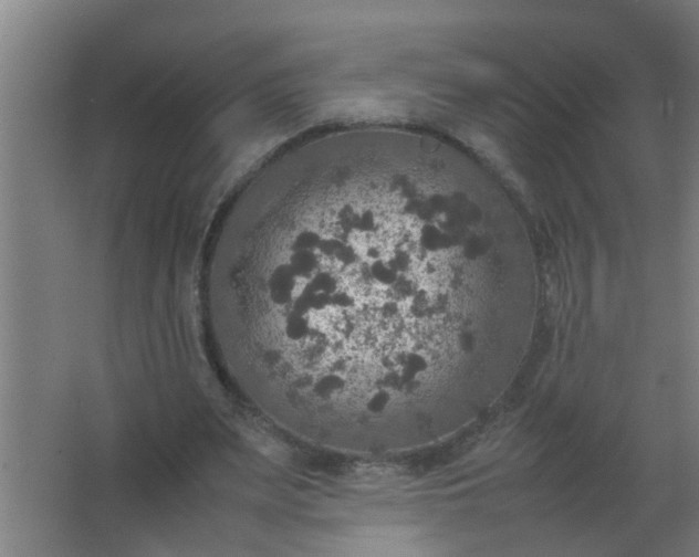 X0000063460487200602031838