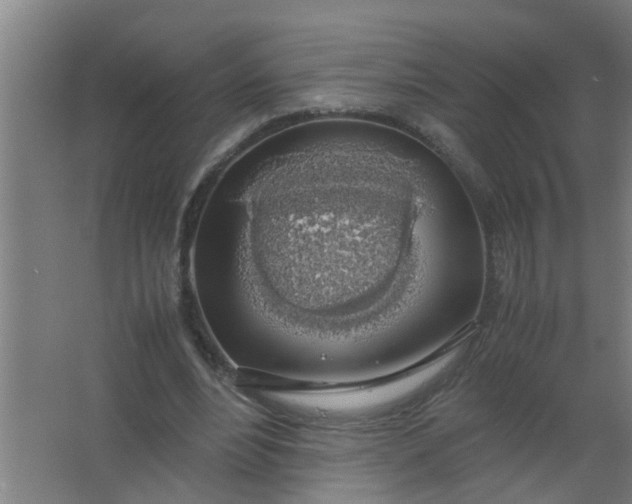 X0000063460488200602031838