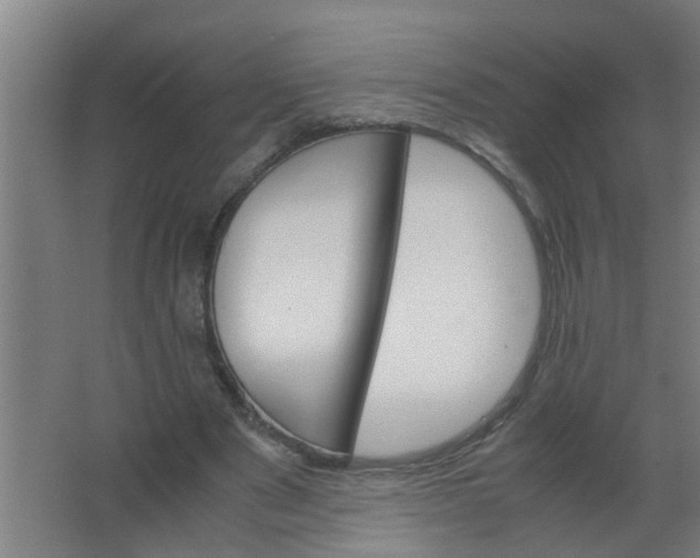 X0000063460489200602031838