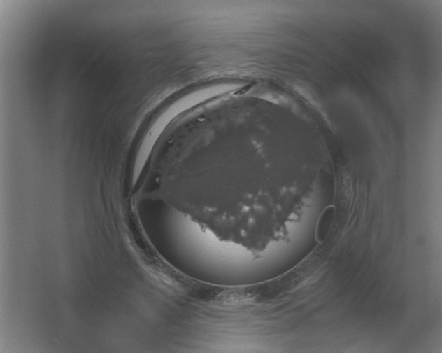 X0000063460491200602031837