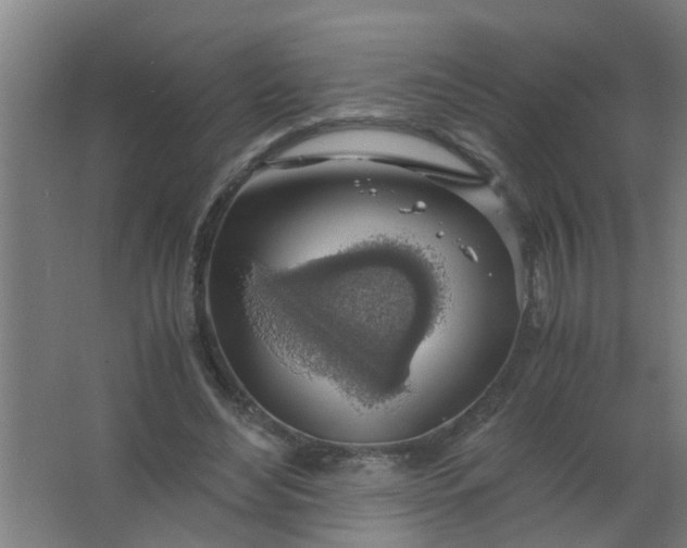 X0000063460492200602031837