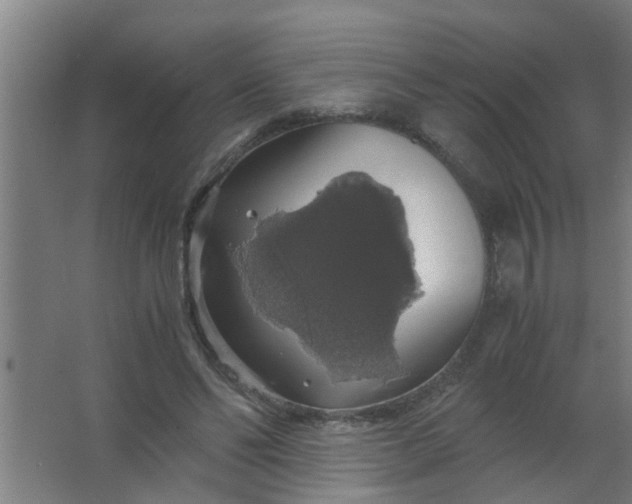 X0000063460494200602031837