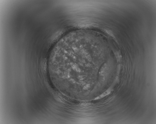 X0000063460495200602031837