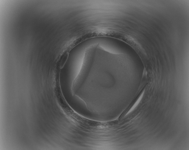 X0000063460496200602031837