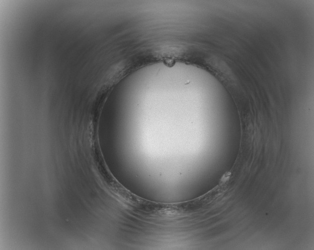 X0000063460498200602031837