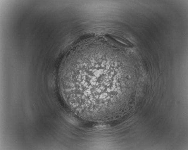 X0000063460499200602031837