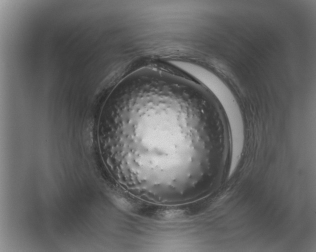 X0000063460501200602031837