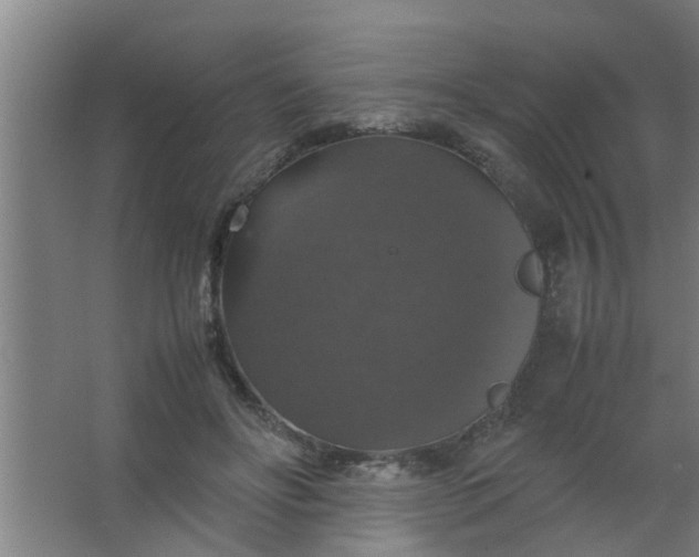 X0000063460502200602031837