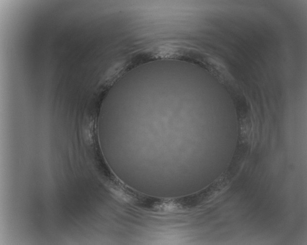 X0000063460503200602031837