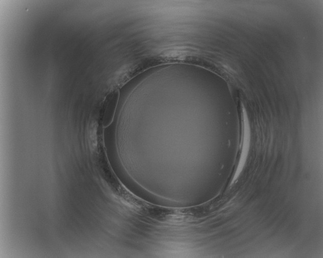 X0000063460504200602031837