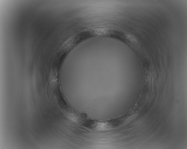 X0000063460507200602031837