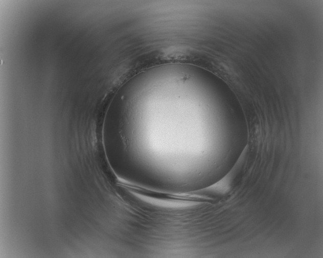 X0000063460508200602031837