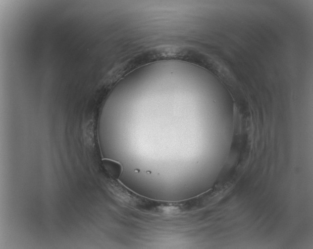 X0000063460509200602031837