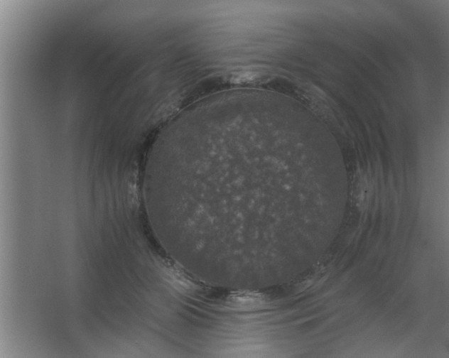 X0000063460510200602031837