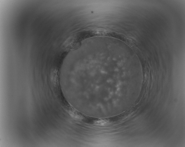 X0000063460511200602031837