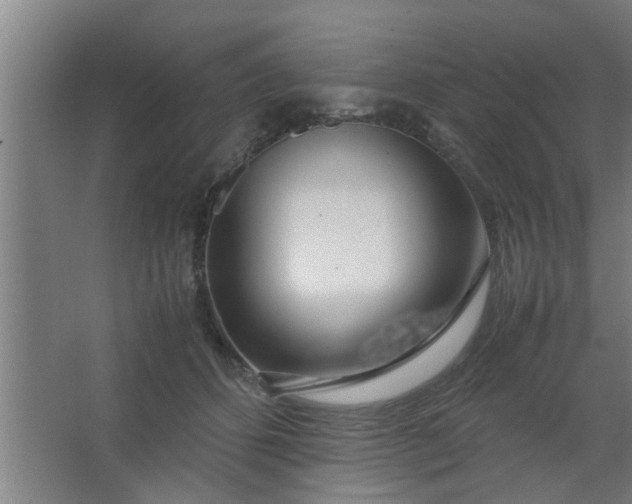 X0000063460512200602031837