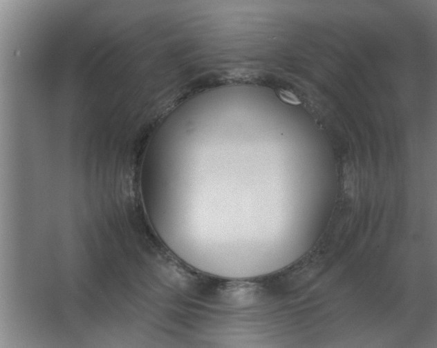 X0000063460514200602031837