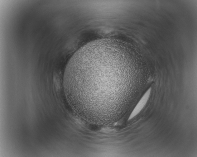 X0000063460515200602031837