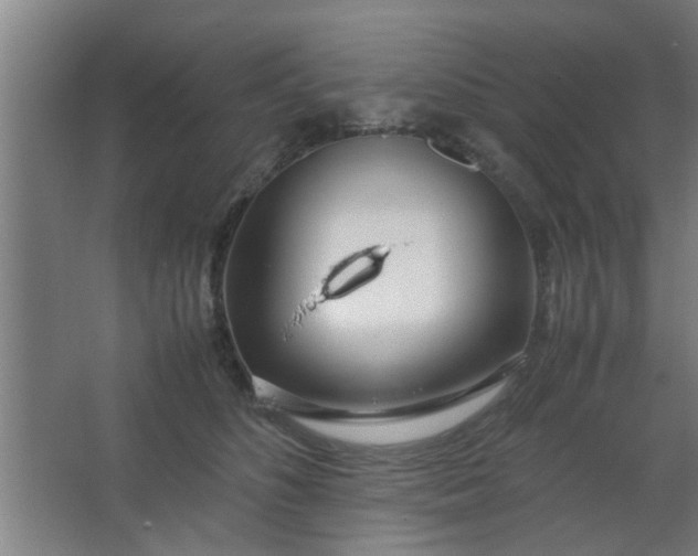 X0000063460516200602031837