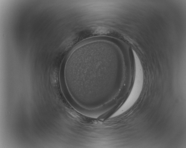 X0000063460517200602031837