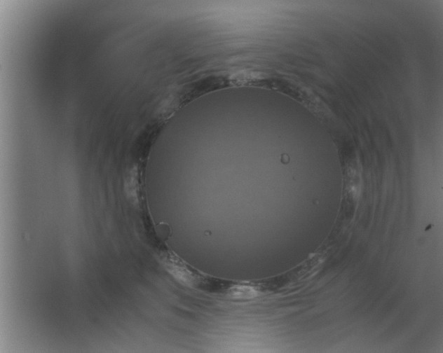 X0000063460519200602031837