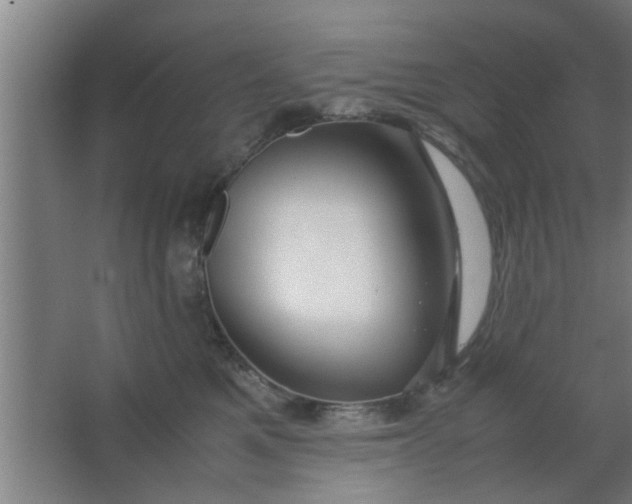 X0000063460521200602031837