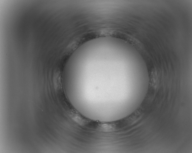 X0000063460522200602031837