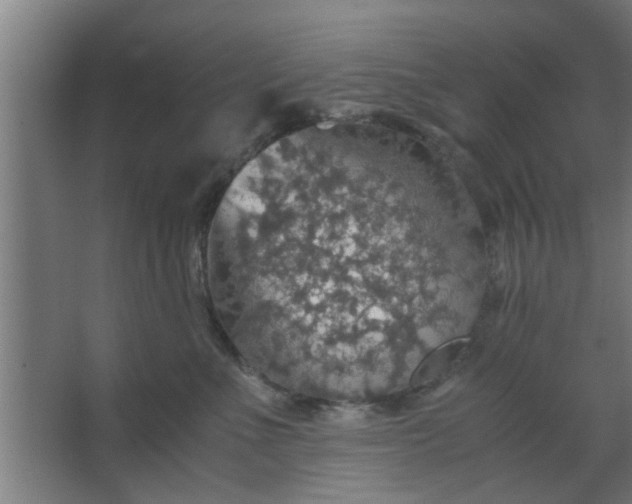 X0000063460523200602031837