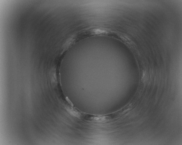 X0000063460524200602031837