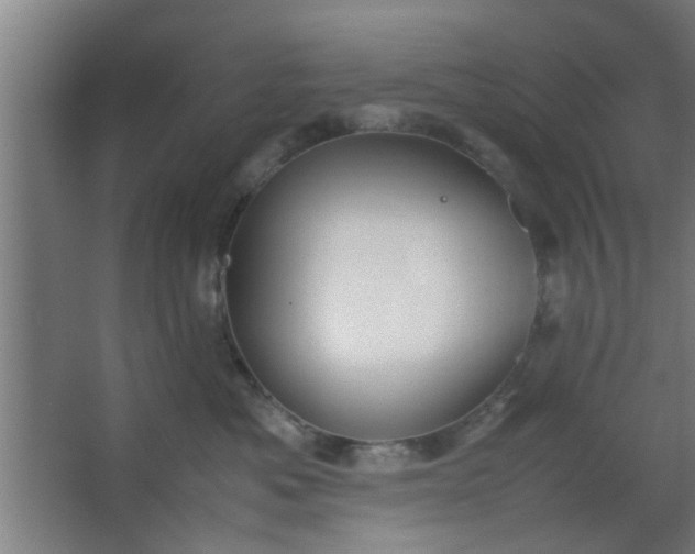 X0000063460525200602031837