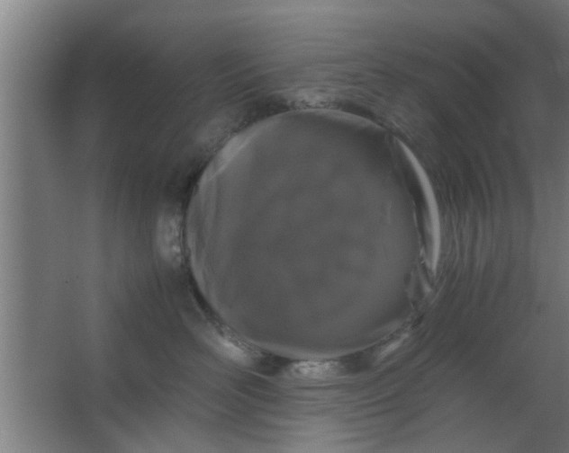 X0000063460526200602031837