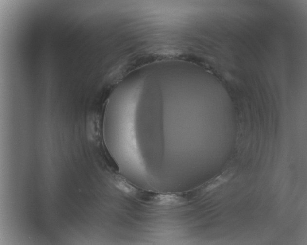 X0000063460528200602031837