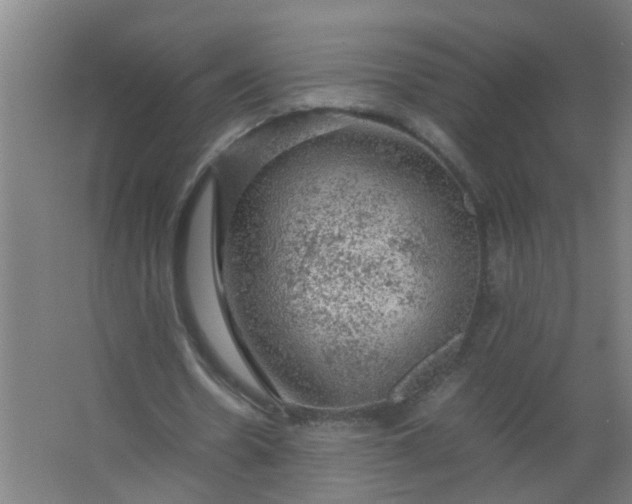 X0000063460530200602031836