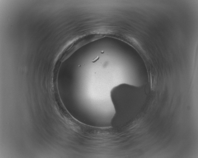 X0000063460531200602031836