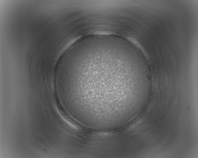 X0000063460533200602031836