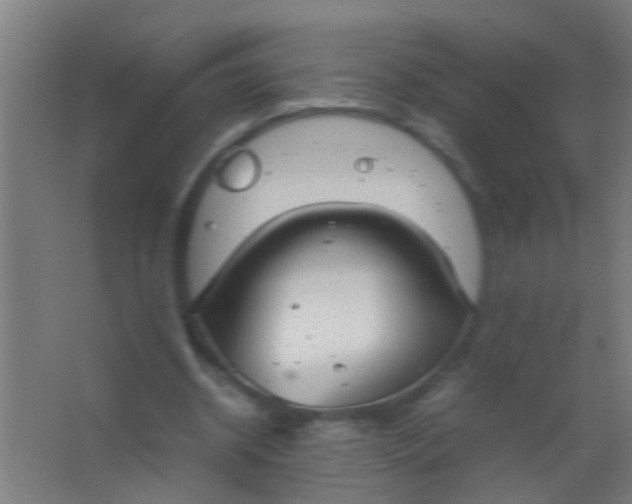 X0000063460534200602031836