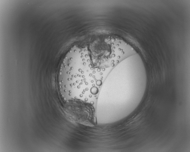 X0000063460537200602031836