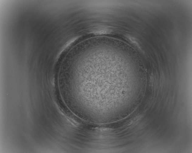 X0000063460539200602031836