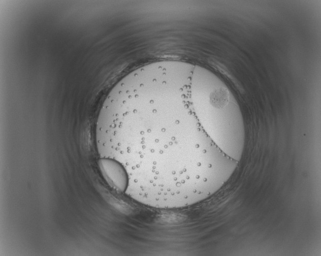 X0000063460541200602031836