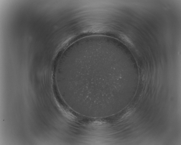 X0000063460542200602031836