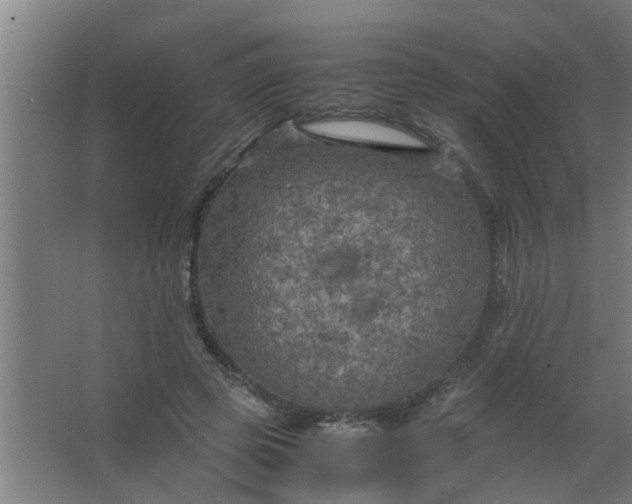 X0000063460545200602031836