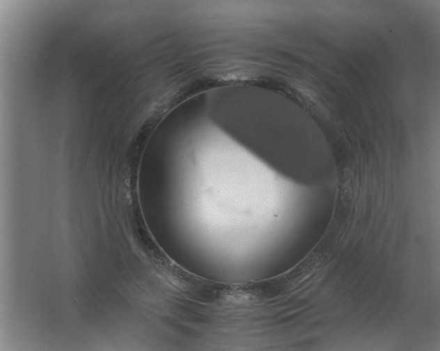 X0000063460547200602031836