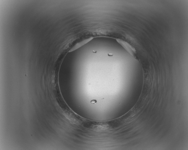 X0000063460548200602031836